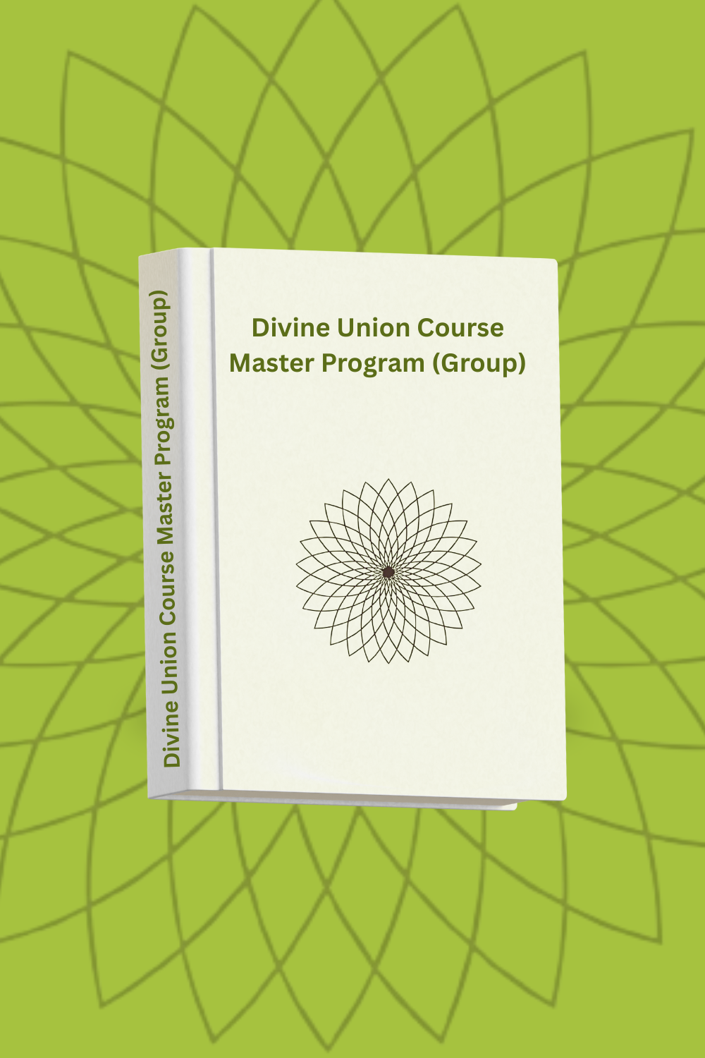 Master Program (Group)