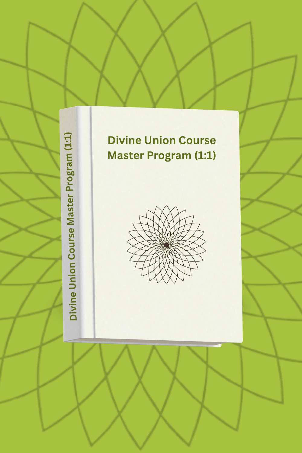 Master Program (1:1)